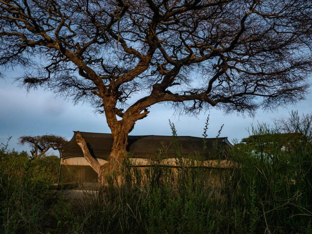 Hotel Tulia Amboseli Safari Camp Exteriér fotografie